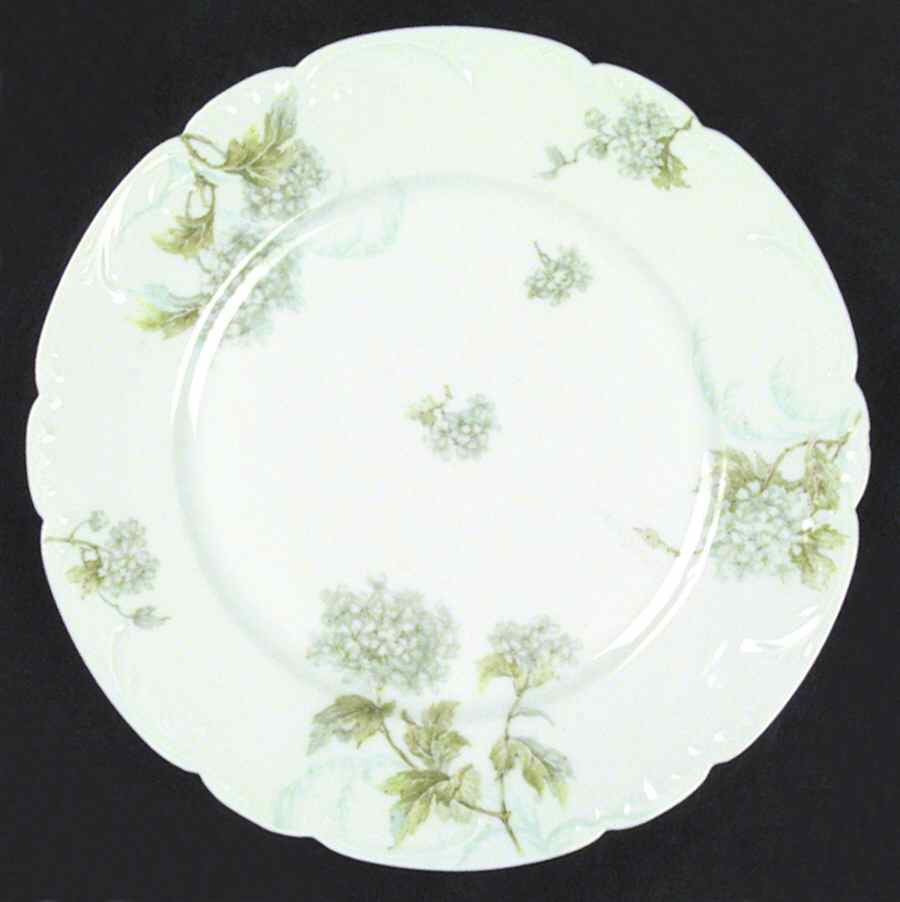 H58 Dinner Plate by Haviland-1