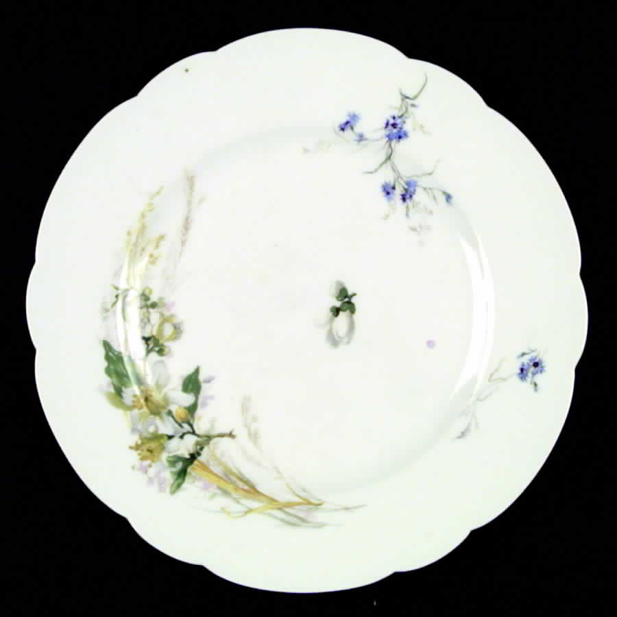 H85 Salad Plate by Haviland-1