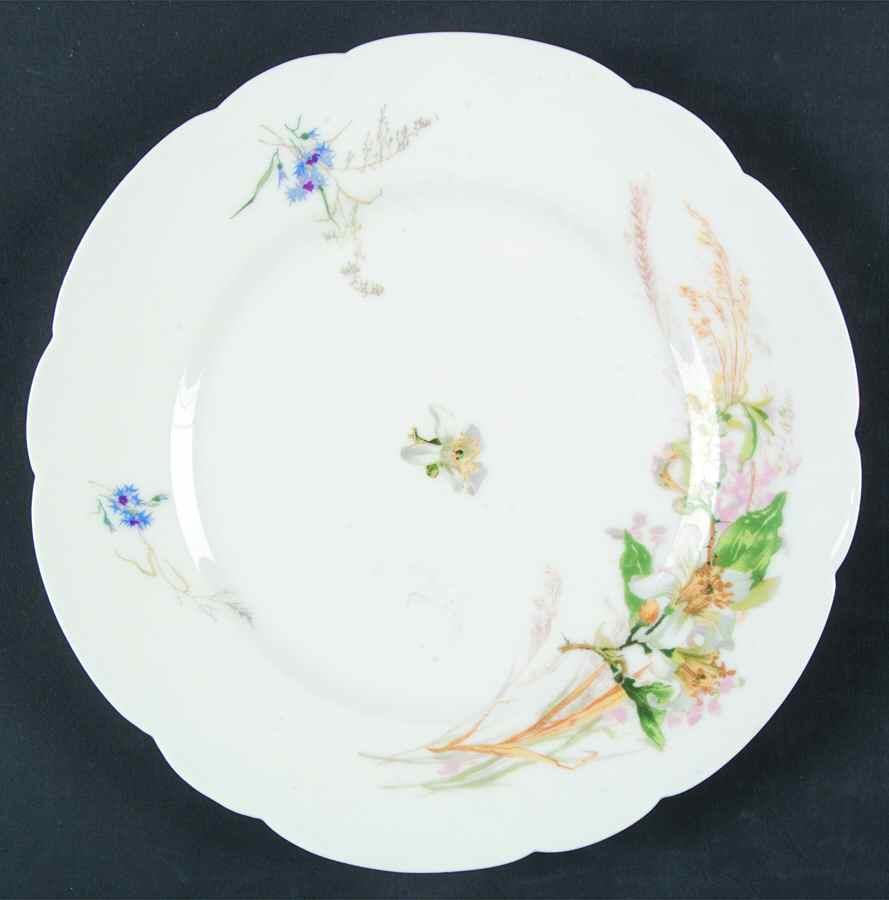 H85 Salad Plate by Haviland-1