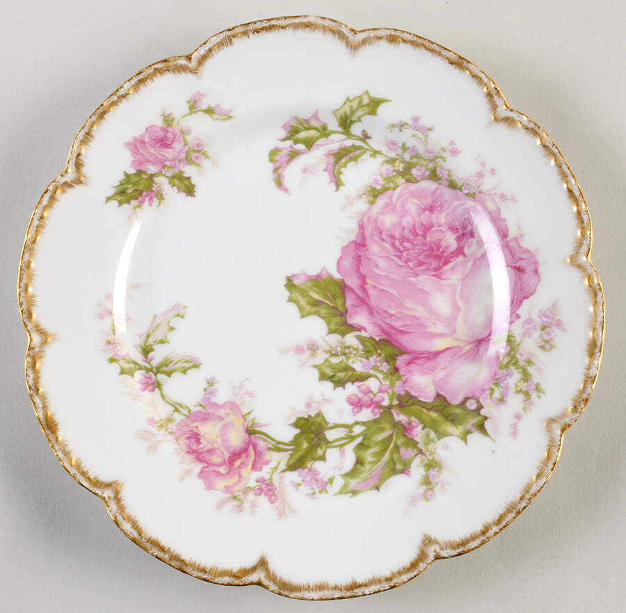 H90 Dinner Plate by Haviland-1