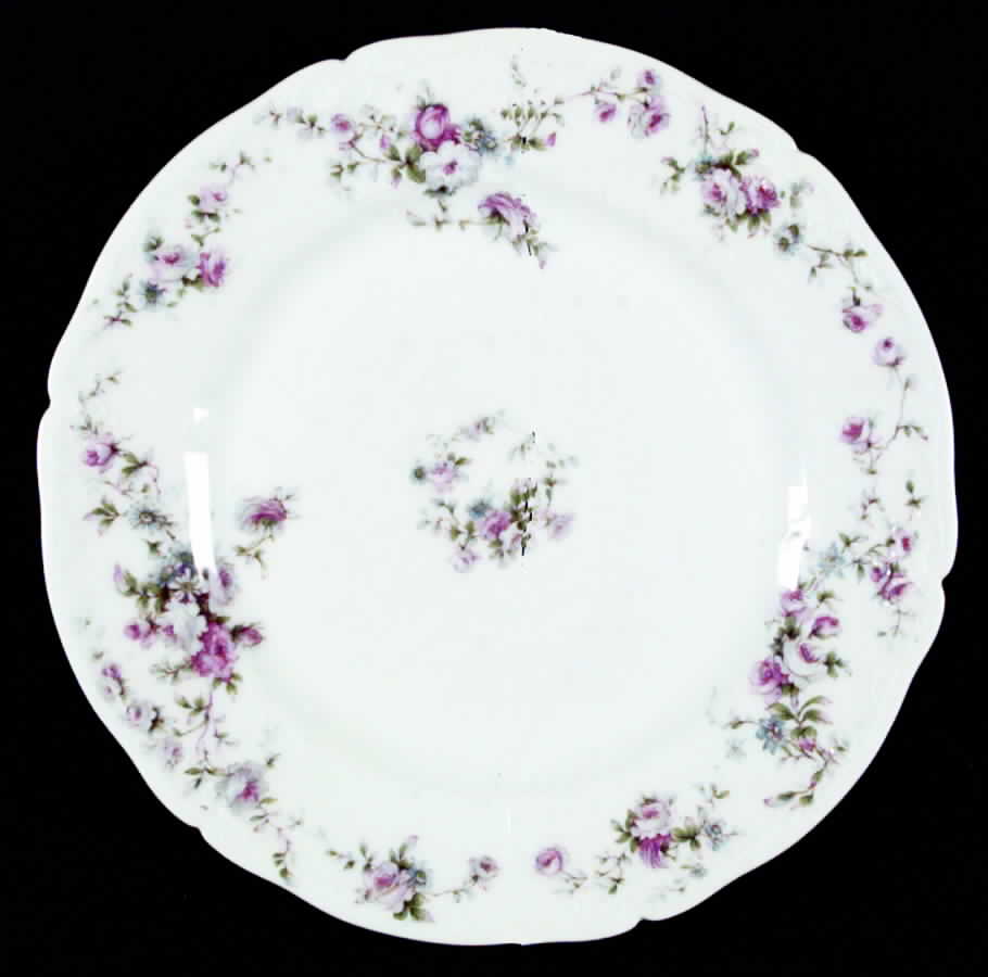 H91 Dinner Plate by Haviland-1