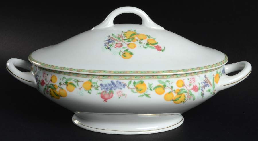 Jardin D'Eden (White Rim) Oval Tureen & Lid by Haviland-1