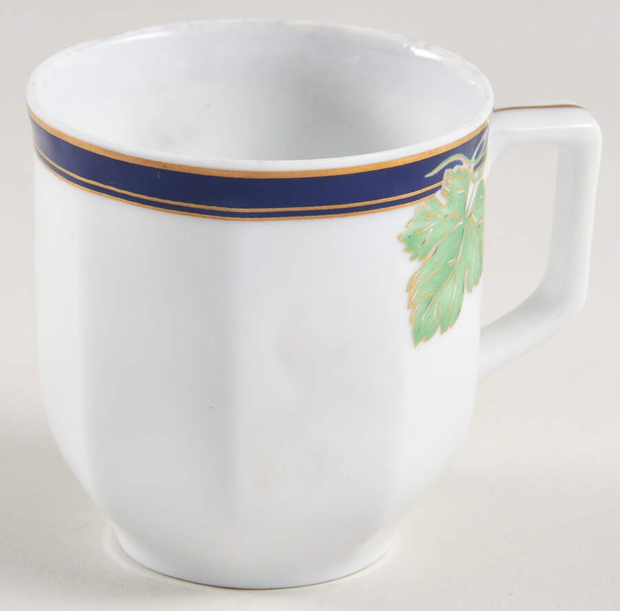 Jardin D' Hiver Flat Demitasse Cup by Haviland-1
