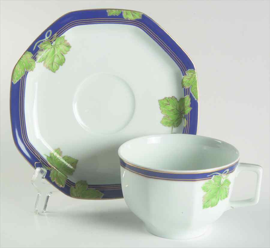 Jardin D' Hiver Flat Cup & Saucer Set by Haviland-1