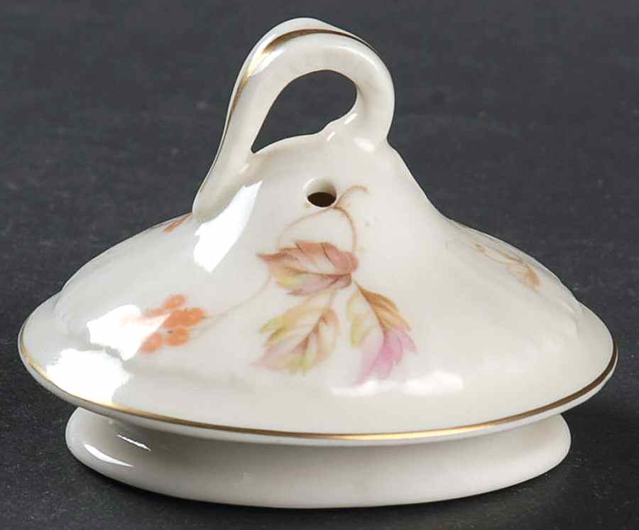 Lancaster Lid for Coffee Pot by Haviland-1