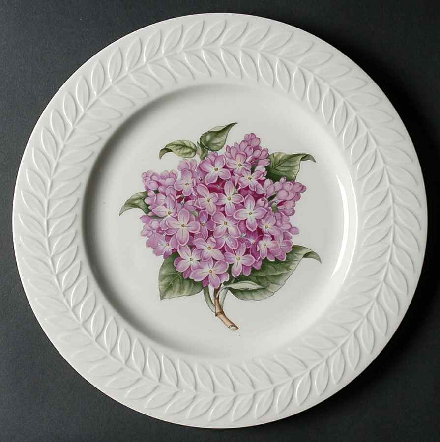 Lilac Dinner Plate by Haviland-1