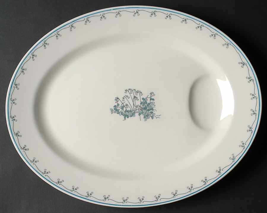 Linneae-Linnaea 14" Oval Serving Platter by Haviland-1