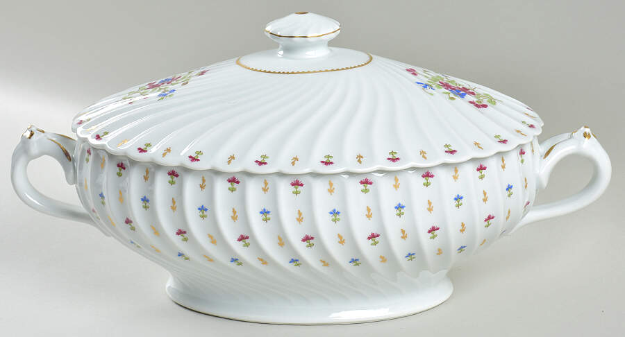 Lutetia Tureen &  Lid by Haviland-1