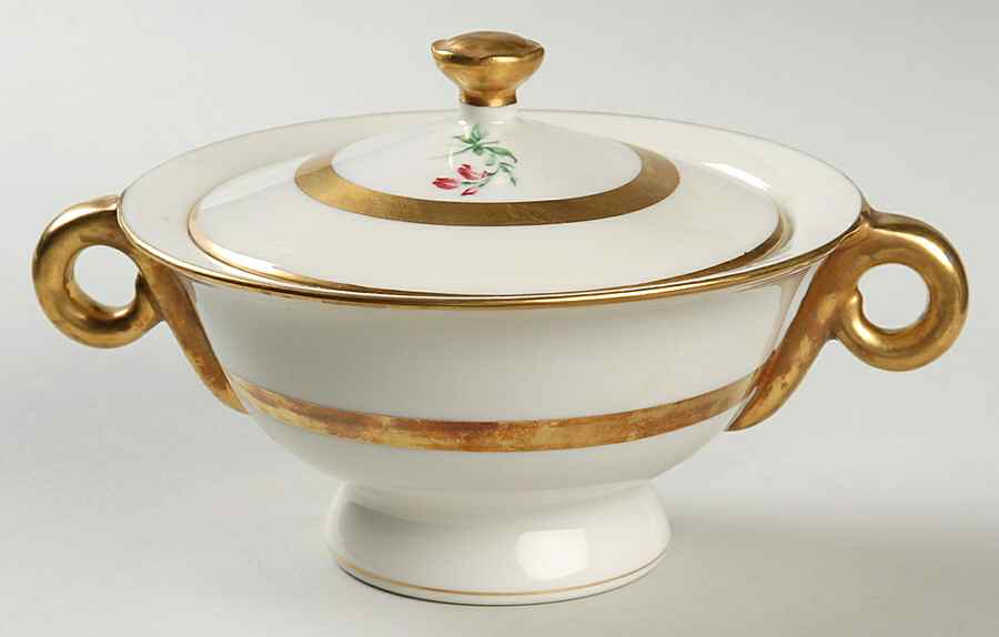 Marlborough (New York) Sugar Bowl & Lid by Haviland-1