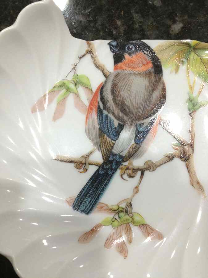 H4683 Fruit/Dessert (Sauce) Bowl by Haviland-1