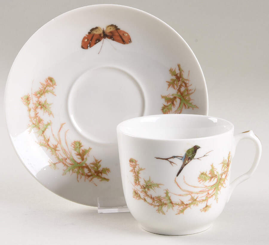 Meadow Visitors (Smooth, No Trim) Flat Cup & Saucer Set by Haviland-1