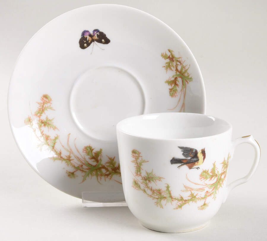 Meadow Visitors (Smooth, No Trim) Flat Cup & Saucer Set by Haviland-1