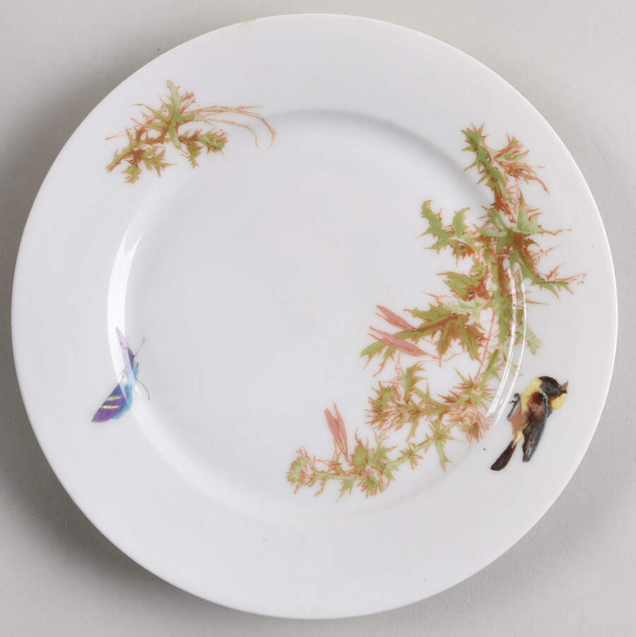 Meadow Visitors (Smooth, No Trim) Salad Plate by Haviland-1
