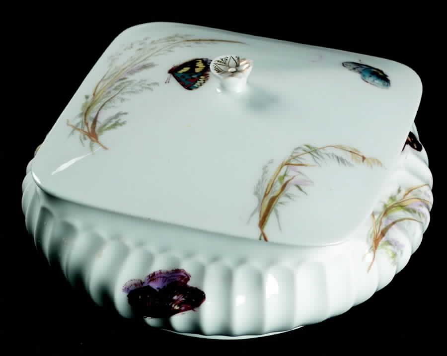 Meadow Visitors (Blank 413) Square Covered Butter with Strainer by Haviland-1