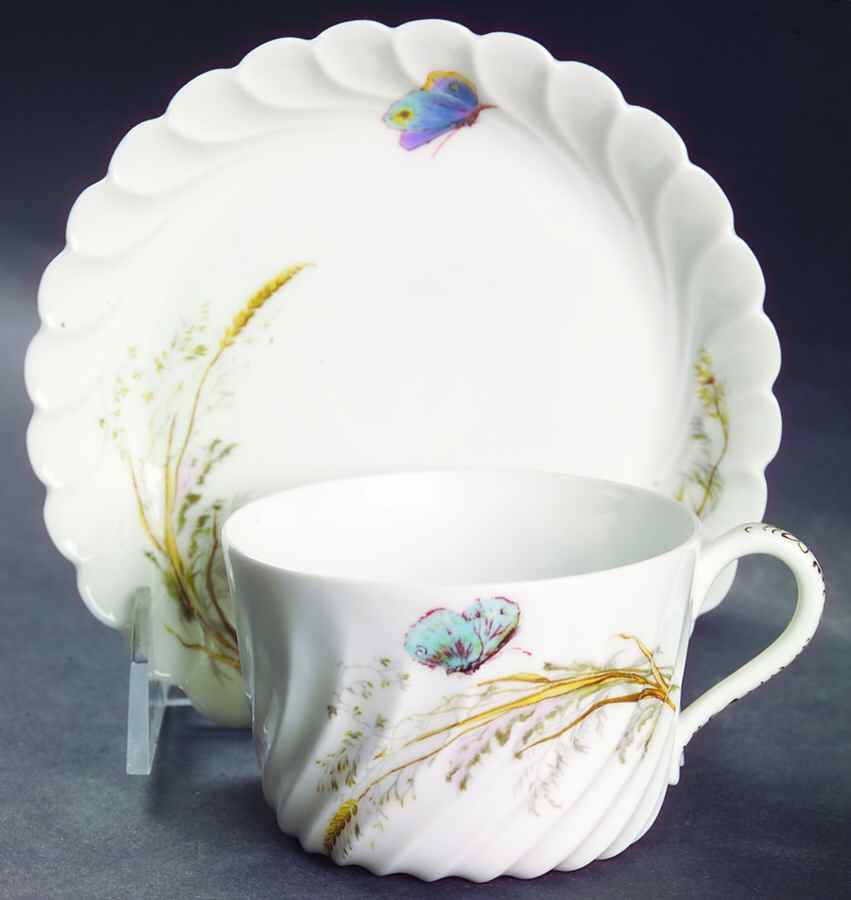 Meadow Visitors (Blank 413) Flat Cup & Saucer Set by Haviland-1