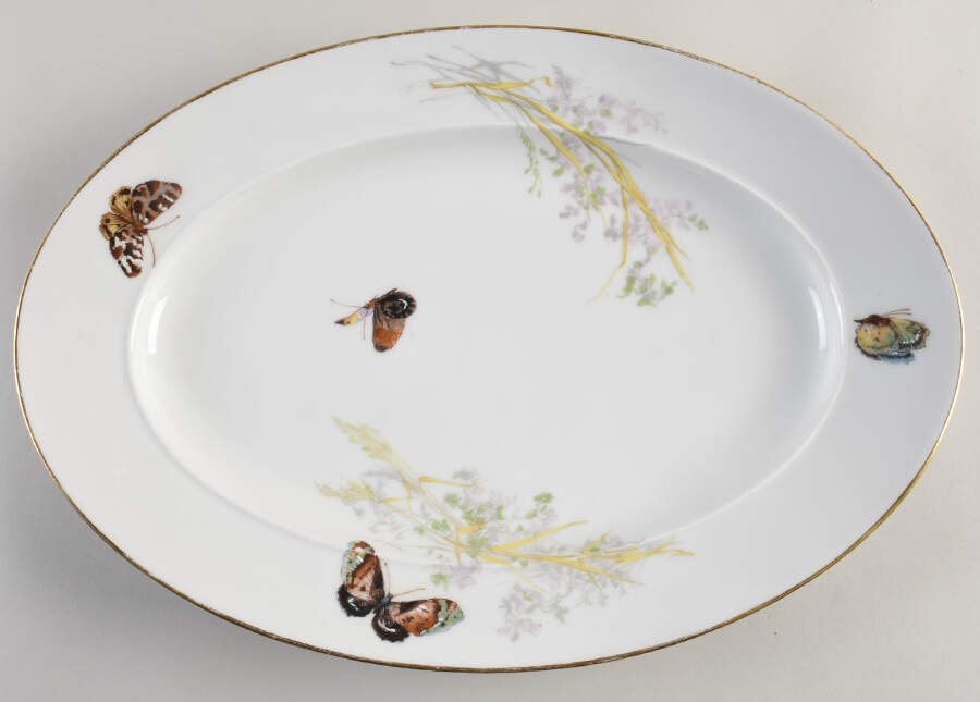 Meadow Visitors (Blank 4, Gold Trim) 16" Oval Serving Platter by Haviland-1