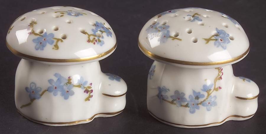 Montmery (Forget Me Nots) Individual Figural Salt & Pepper Set by Haviland-1
