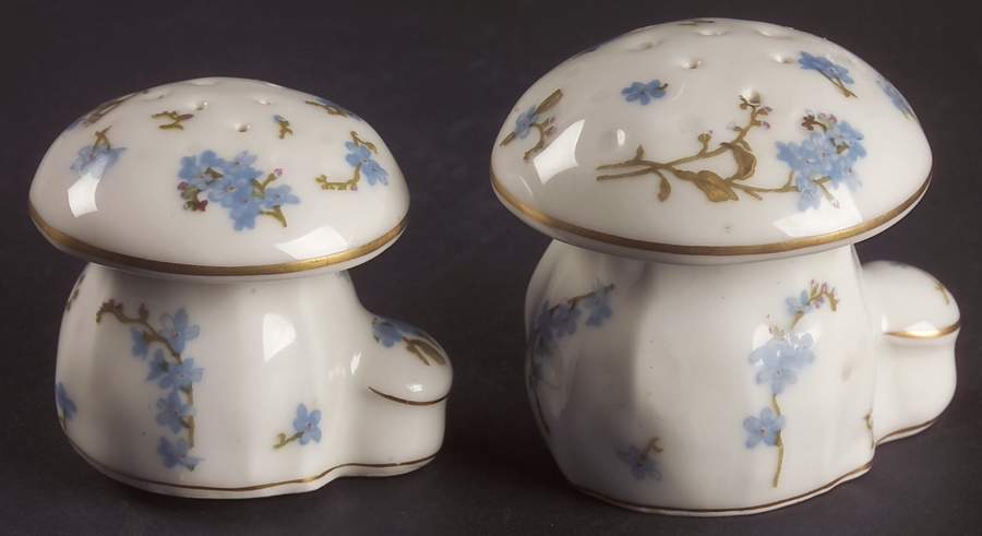 Montmery (Forget Me Nots) Figural Salt & Pepper Set by Haviland-1