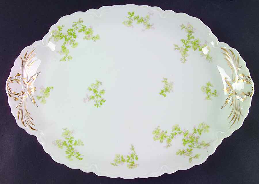 Montebello 15" Oval Serving Platter by Haviland-1