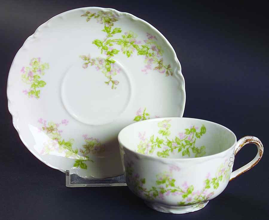 Montebello Flat Cup & Saucer Set by Haviland-1