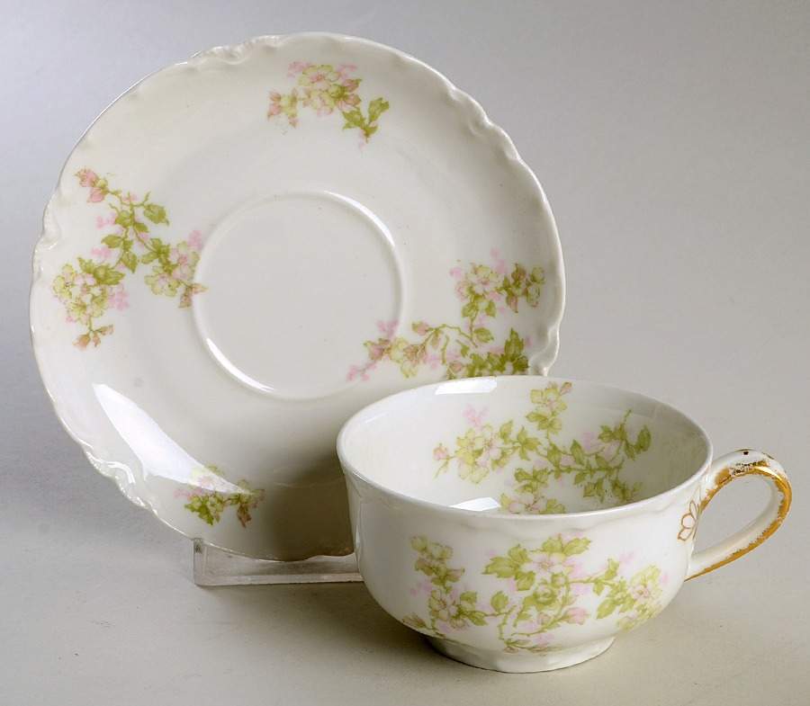 Montebello Flat Cup & Saucer Set by Haviland-1
