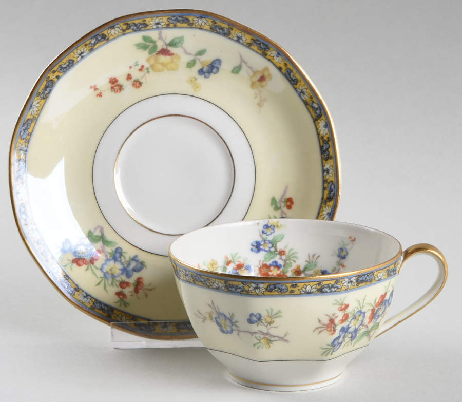 Montreux Flat Cup & Saucer Set by Haviland-1