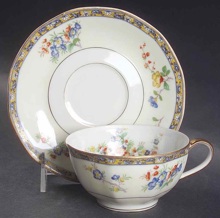 Montreux Flat Cup & Saucer Set by Haviland-1
