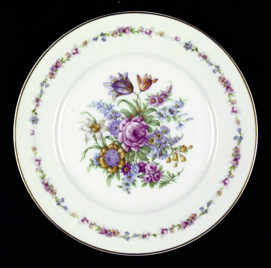 Montrose (White Background) Dinner Plate by Haviland-1