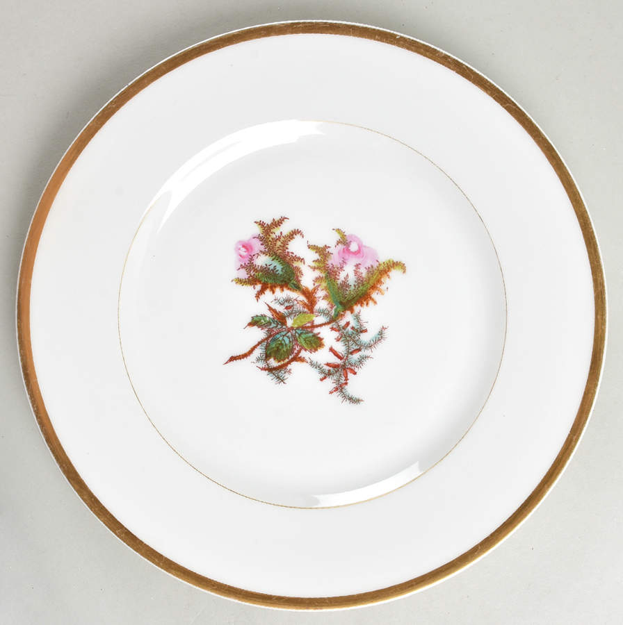 Moss Rose (Thick Gold Trim) Dinner Plate by Haviland-1