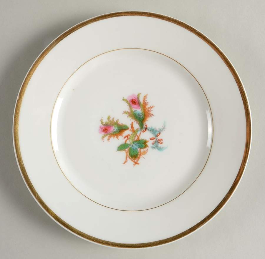 Moss Rose (Thick Gold Trim) Luncheon Plate by Haviland-1