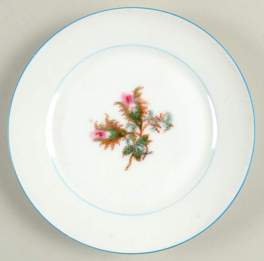 Moss Rose (Blue Trim) Salad Plate by Haviland-1