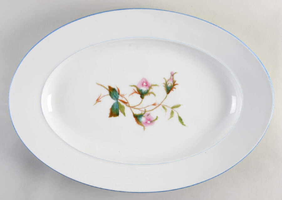 Moss Rose (Blue Trim) 17" Oval Serving Platter by Haviland-1