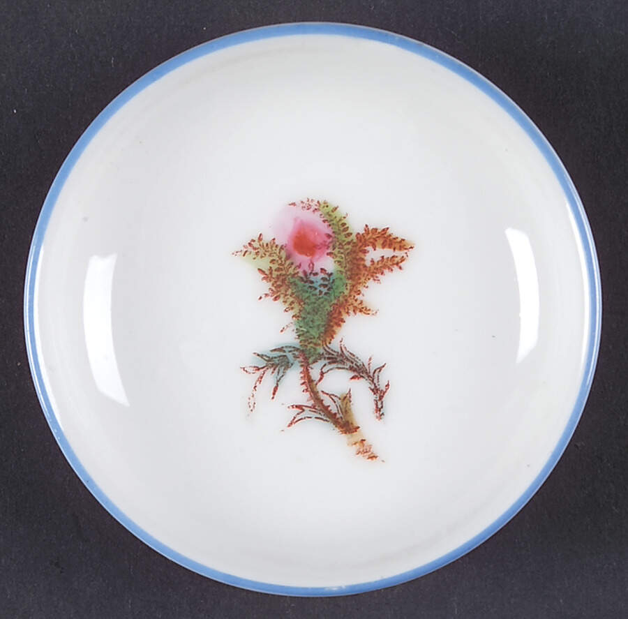 Moss Rose (Blue Trim) Butter Pat by Haviland-1