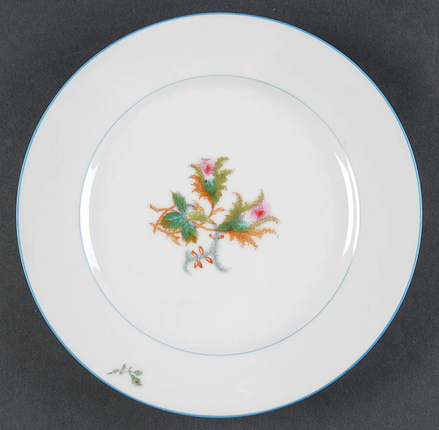 Moss Rose (Blue Trim) Luncheon Plate by Haviland-1