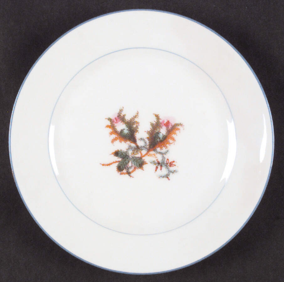 Moss Rose (Blue Trim) Dinner Plate by Haviland-1