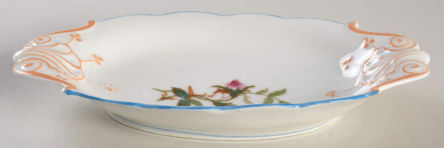 Moss Rose (Blue Trim) Relish by Haviland-1