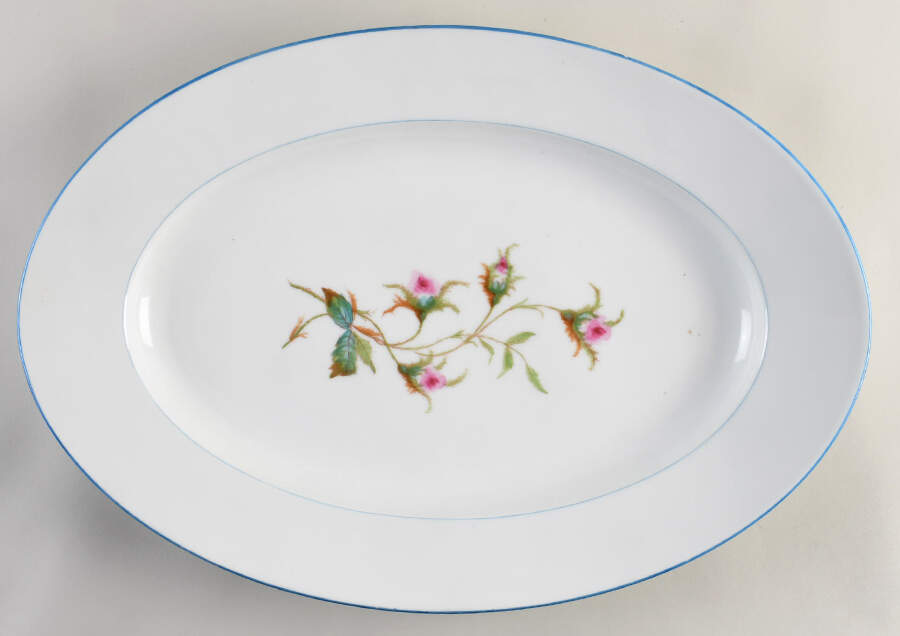 Moss Rose (Blue Trim) 20" Oval Serving Platter by Haviland-1