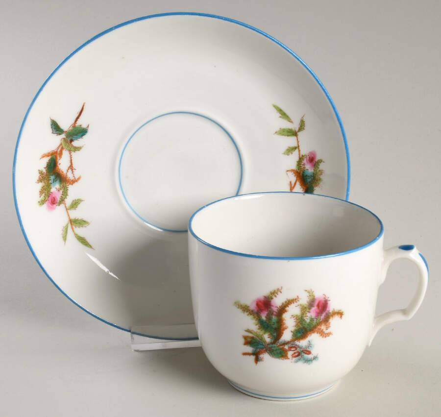 Moss Rose (Blue Trim) Flat Cup & Saucer Set by Haviland-1