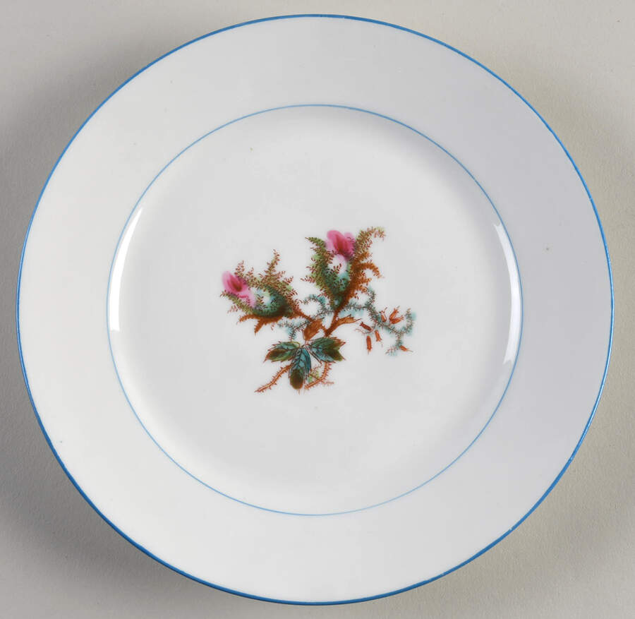 Moss Rose (Blue Trim) Salad Plate by Haviland-1