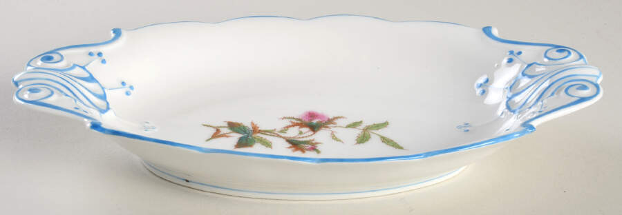 Moss Rose (Blue Trim) Relish by Haviland-1