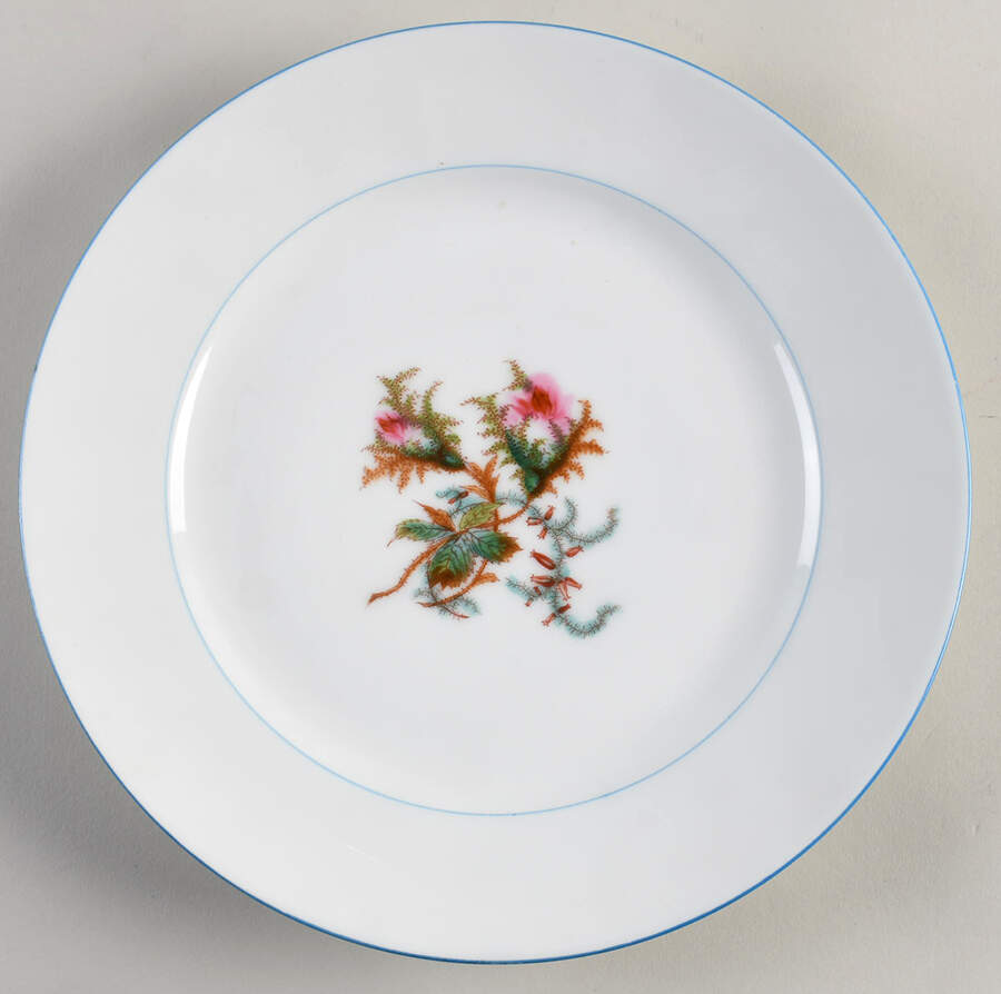 Moss Rose (Blue Trim) Dinner Plate by Haviland-1
