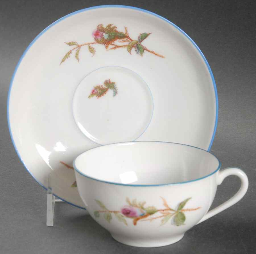 Moss Rose (Blue Trim) Flat Cup & Saucer Set by Haviland-1