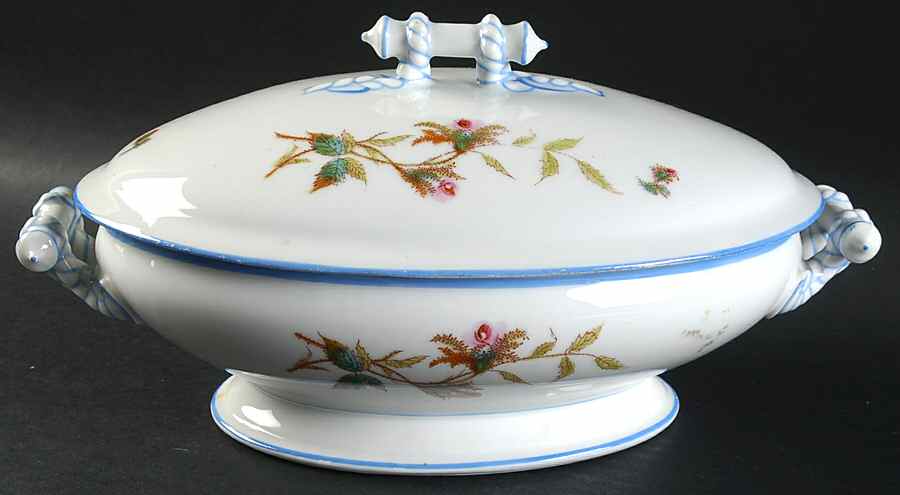 Moss Rose (Blue Trim) Oval Covered Vegetable by Haviland-1