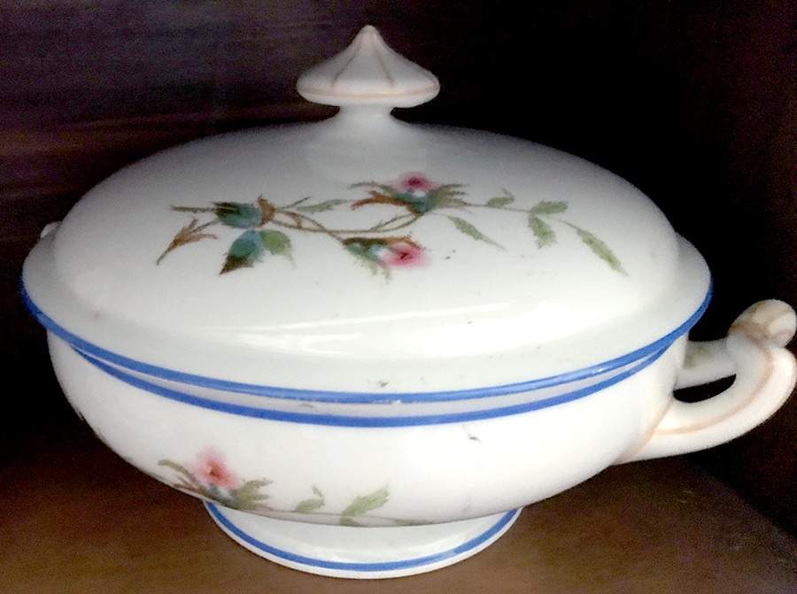 Moss Rose (Blue Trim) Chamber Pot & Lid by Haviland-1