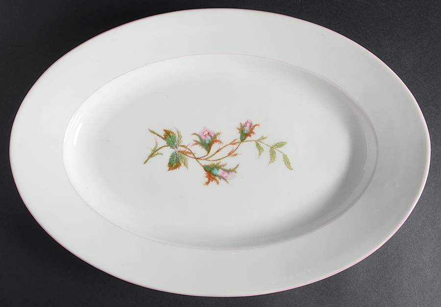 Moss Rose (Pink Trim, Smooth) 15" Oval Serving Platter by Haviland-1