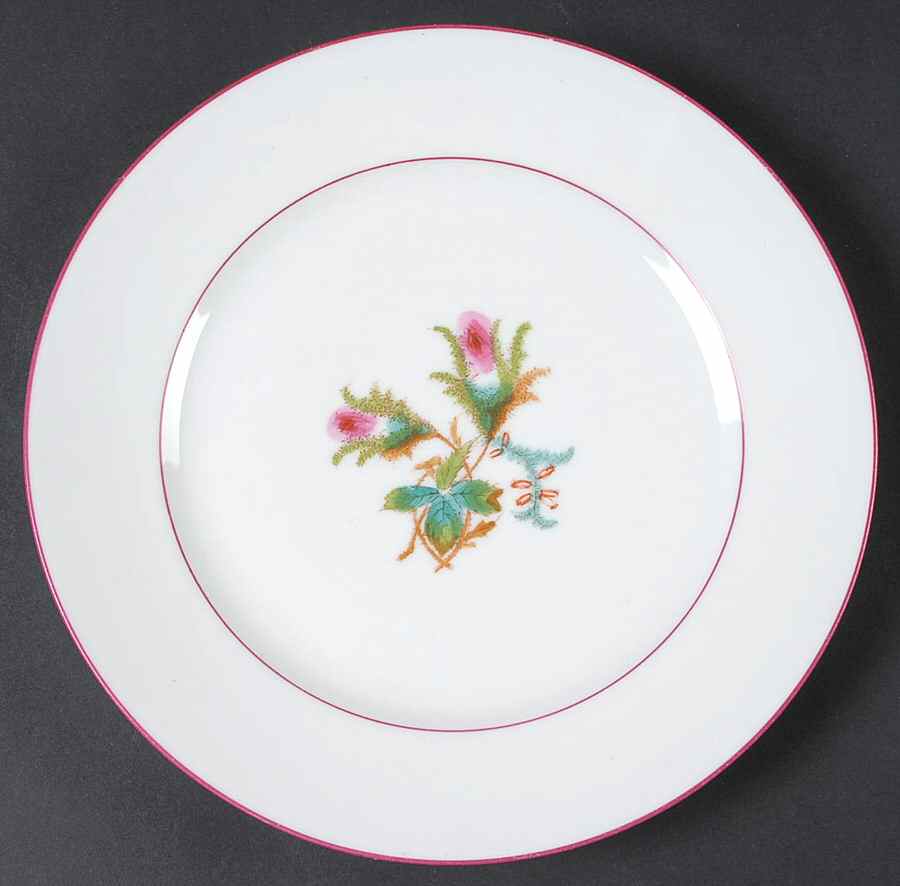 Moss Rose (Pink Trim, Smooth) Luncheon Plate by Haviland-1