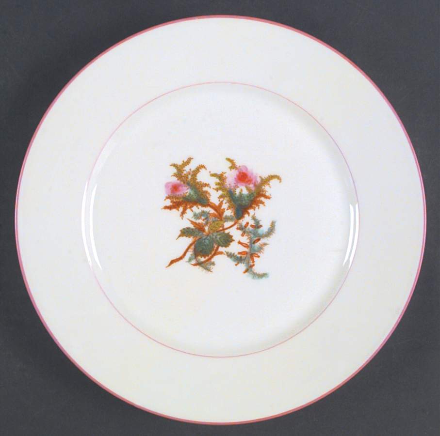 Moss Rose (Pink Trim, Smooth) Dinner Plate by Haviland-1