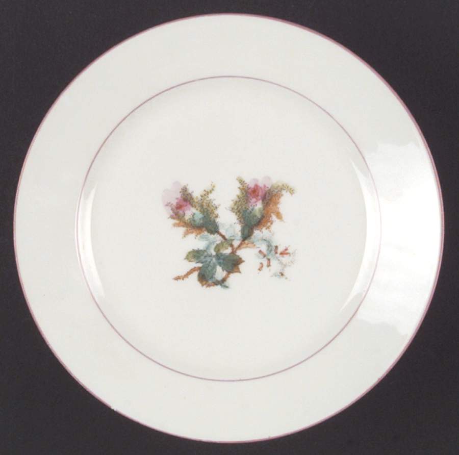 Moss Rose (Pink Trim, Smooth) Salad Plate by Haviland-1