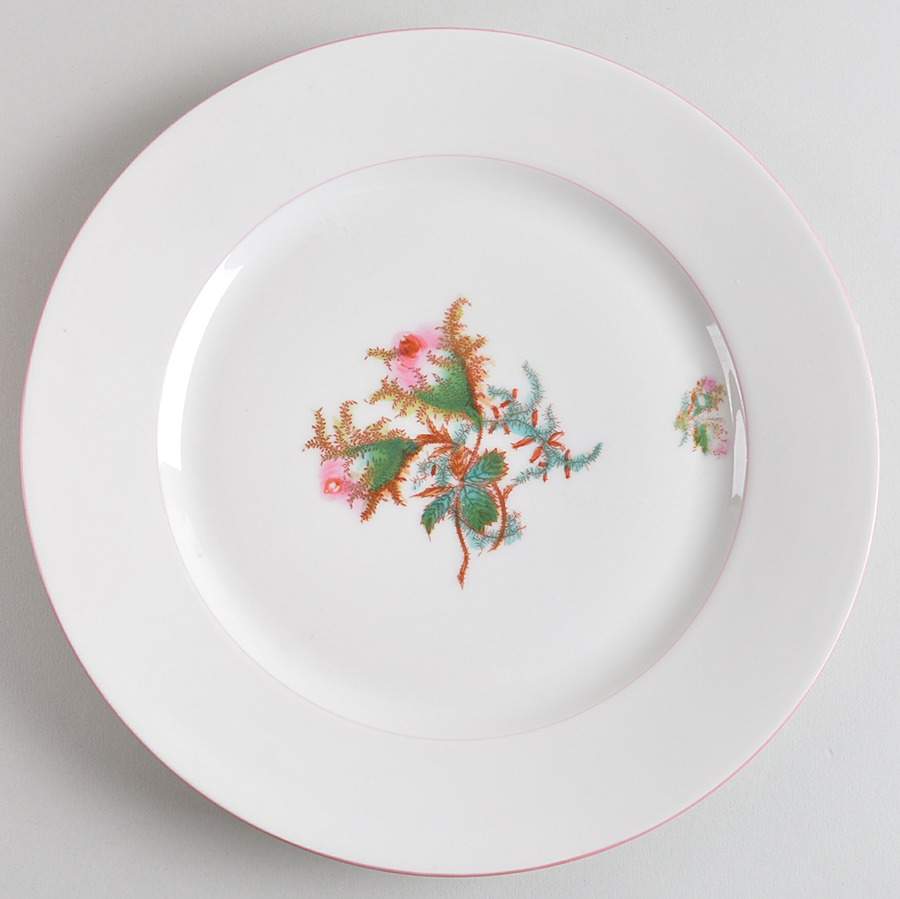 Moss Rose (Pink Trim, Smooth) Dinner Plate by Haviland-1