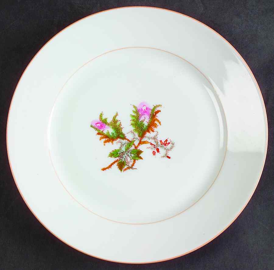 Moss Rose (Peach Trim) Salad Plate by Haviland-1